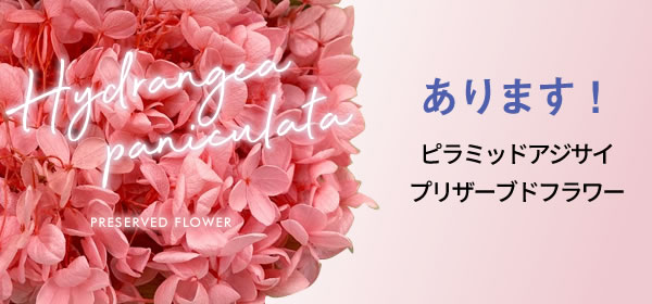 プリザーブドフラワー