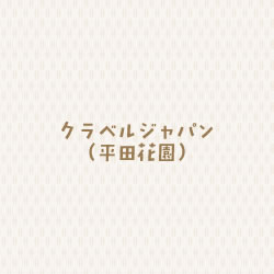 【12/30届】平田花園 カーネーション スプリッツブランコ（ＷＰ 50本