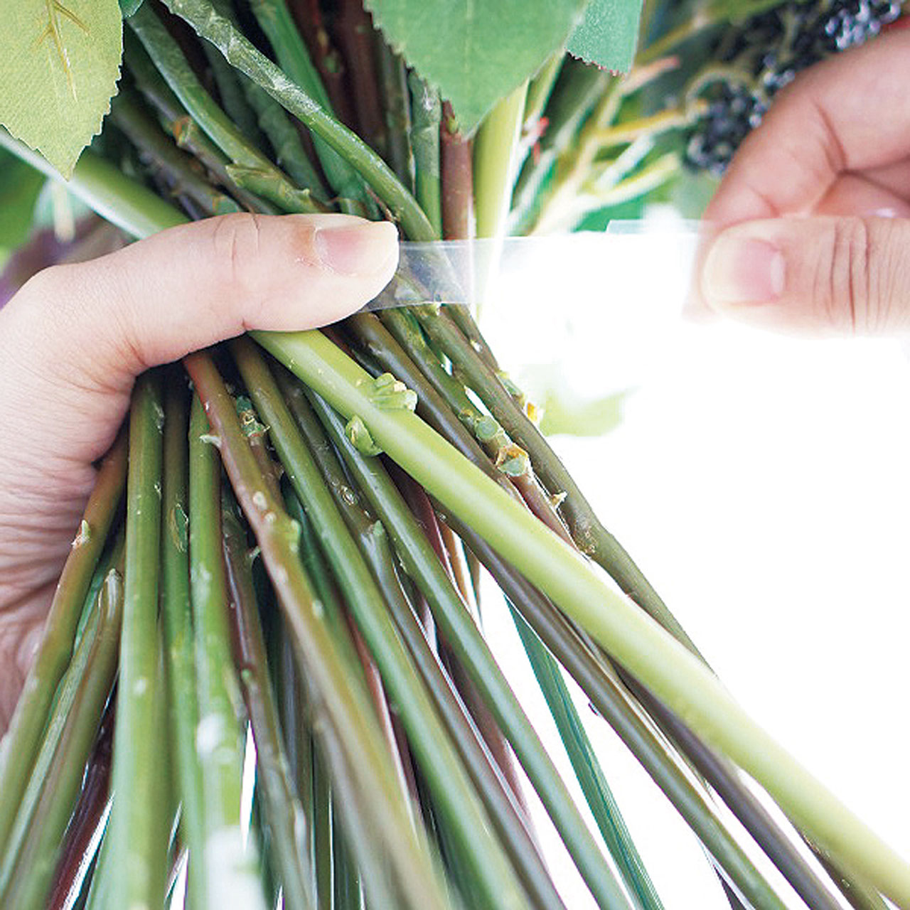 バインディットクリア　１．９ｃｍ