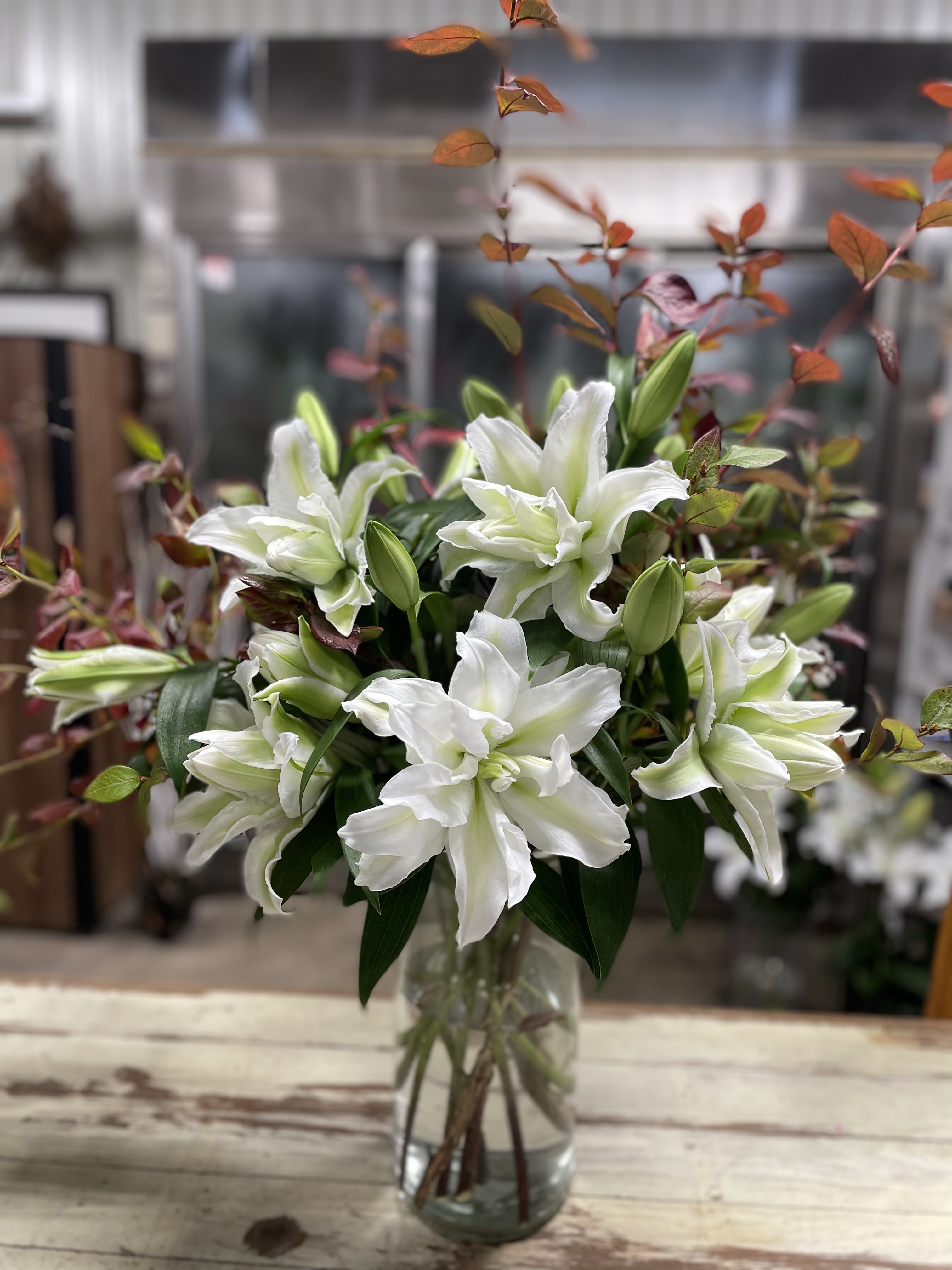 アイシャ　ユリ