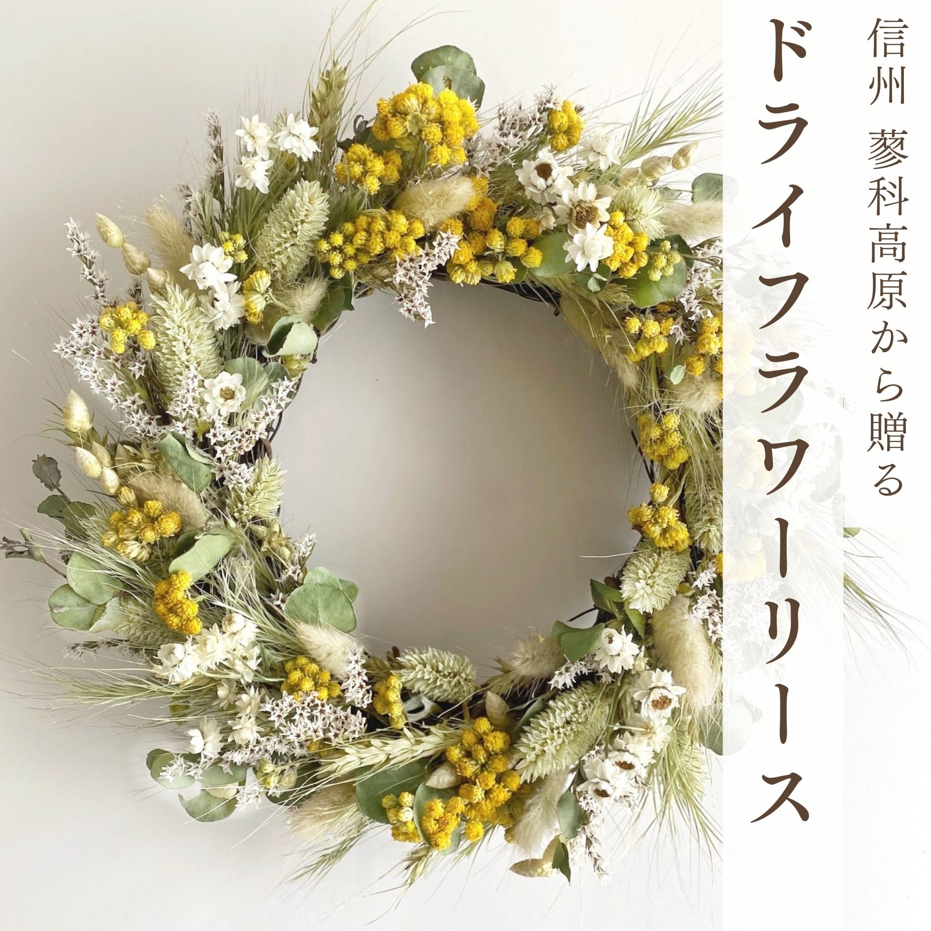 【産地直送】ナチュラルリースM グリーン