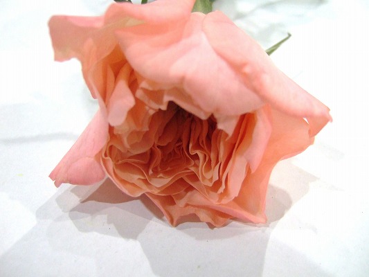 デコパージュ 作家 花瓶 特大 バラ ピンク ゴールド ガラスの薔薇（ピンク大）1本【送料無料】 | グリーミングハウス