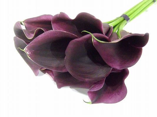 カラー キャプテンカレラ 秀60 (紫)