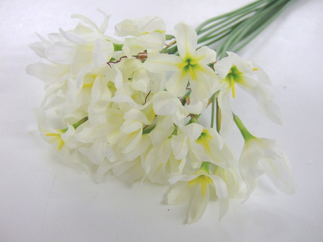 リューココリーネ リユ－ココリ－ネホワイト 秀70 (白)