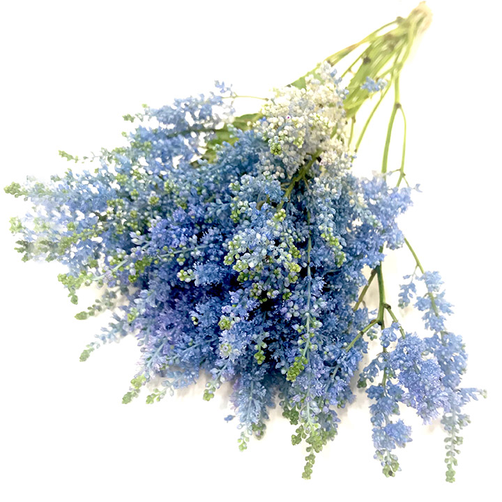 アスチルベ 染めライトブルー 30-25CM (青)