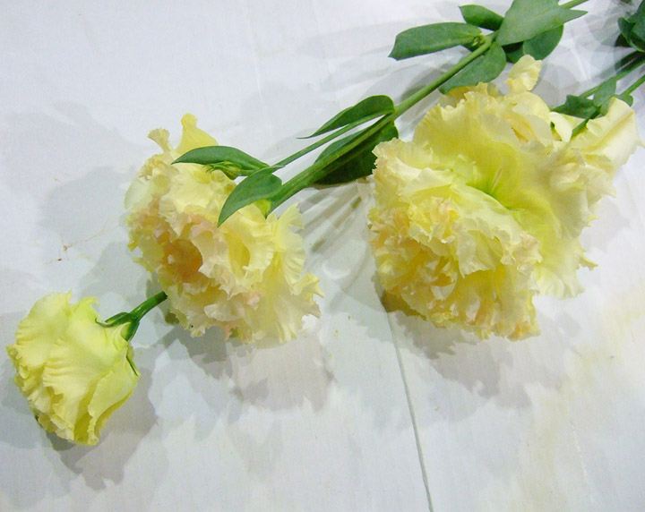 112×203 サーモンピンク 草花ボタニカル トルコヴィンテージラグ 汚い