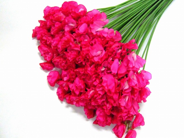 スイートピー　Ｒ＆Ｐ＆Ａ　レッド　2L 推奨産地【予約メニュー】