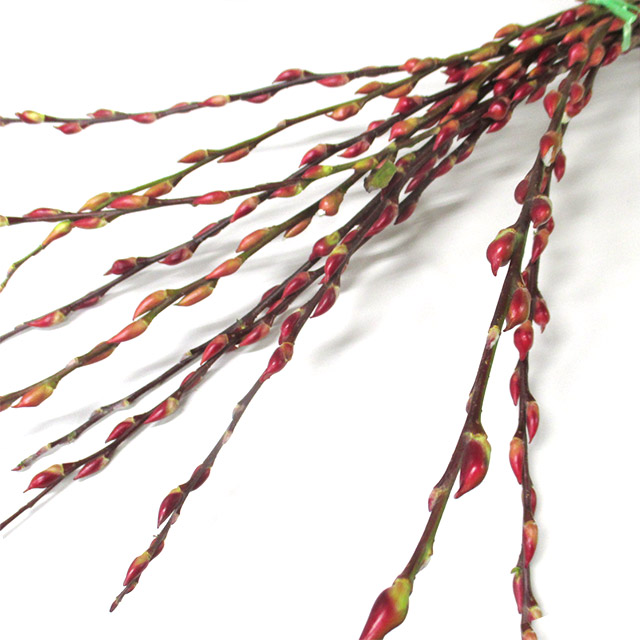 アカメヤナギ　2L 推奨産地【予約メニュー】