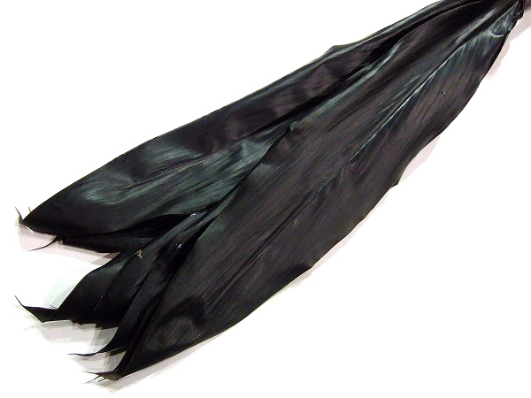 ドラセナ　ルイ ブラックタイ 70CM (赤)